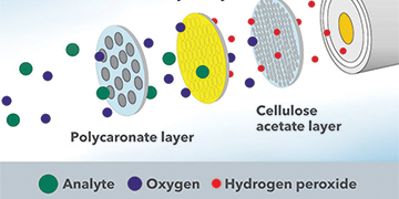 Biosensor Technology | YSI Life Sciences